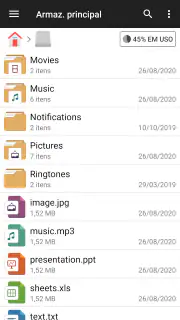 Gerenciador de arquivos screenshot 2