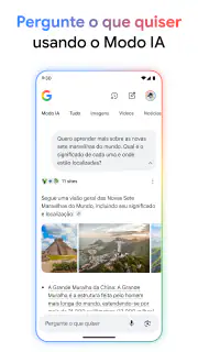 Google screenshot 2