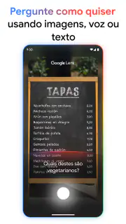 Google screenshot 3