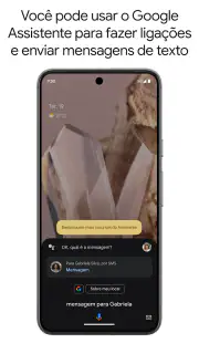 Google Assistente screenshot 2
