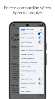 Google Docs screenshot 2