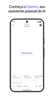 Google Gemini screenshot 2