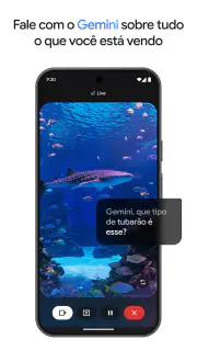 Google Gemini screenshot 3