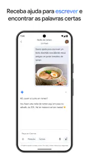 Google Gemini screenshot 5