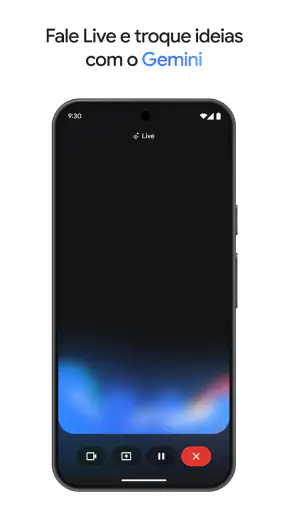 Google Gemini screenshot