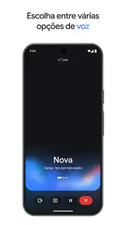 Google Gemini screenshot 8