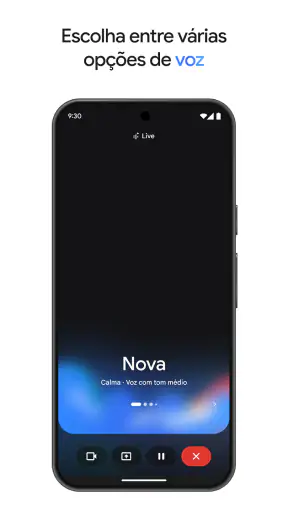 Google Gemini screenshot