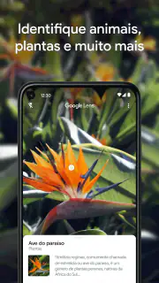 Google Lens screenshot 5