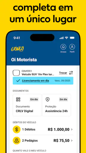 Gringo: Licenciamento, IPVA + screenshot