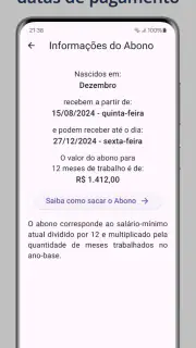 Guia Abono Salarial PIS PASEP screenshot 1