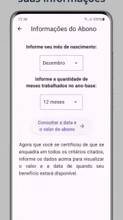 Guia Abono Salarial PIS PASEP screenshot 5