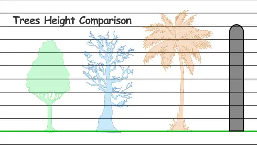 Height Measurement App screenshot 6