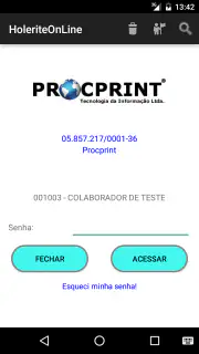 HoleriteOnLine screenshot 2