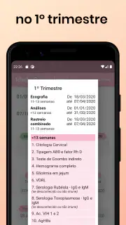 Idade Gestacional screenshot 7