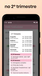 Idade Gestacional screenshot 8