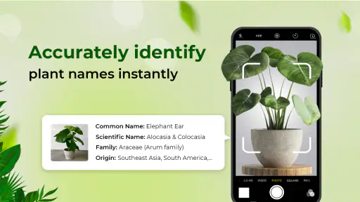 Identificador de Plantas screenshot 1
