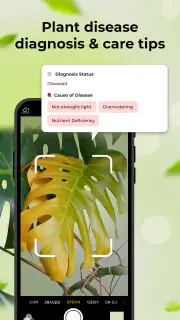 Identificador de Plantas screenshot 3