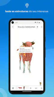IMAIOS vet-Anatomy screenshot 4