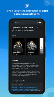 IMAIOS vet-Anatomy screenshot 5