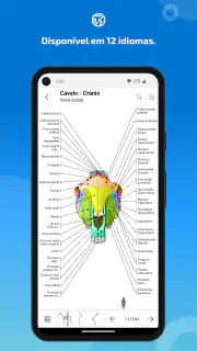 IMAIOS vet-Anatomy screenshot 7