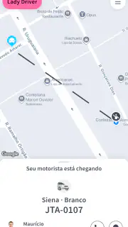 Lady Driver screenshot 3