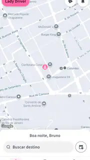 Lady Driver screenshot 6