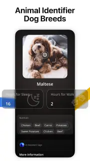 Lens AI: Identify Anything screenshot 6