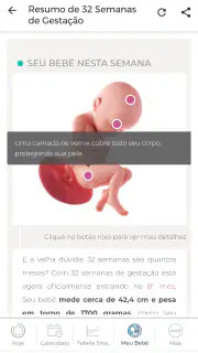 Minha Gravidez por Paula screenshot 2