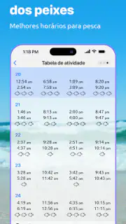 Nautide: Marés, Vento, Ondas + screenshot 6