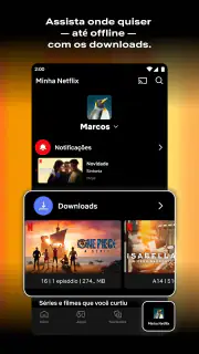 Netflix screenshot 2