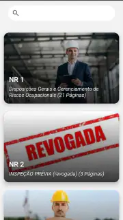 NR - Normas Regulamentadoras screenshot 1