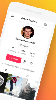 Obter Seguidores & Curtidas screenshot 4
