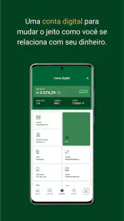 Palmeiras Pay screenshot 3