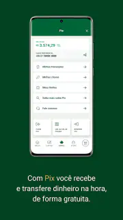 Palmeiras Pay screenshot 6