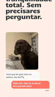 Petme: Pet Sitter e Passeador screenshot 7