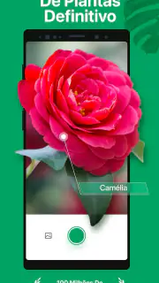 PictureThis Identificar Planta screenshot 1
