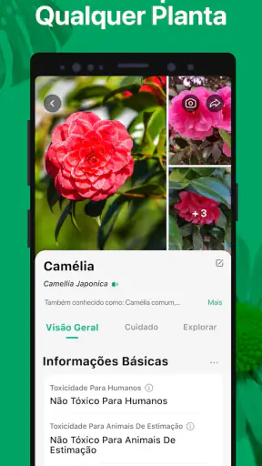 PictureThis Identificar Planta screenshot