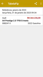 PlacaFip - Consulta placa screenshot 4