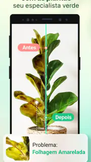 Plant Parent-Guia de Cuidados screenshot 2