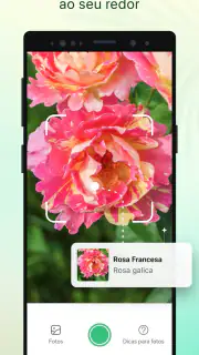 Plant Parent-Guia de Cuidados screenshot 4