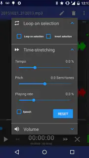 RecForge II Pro: Gravador screenshot 3