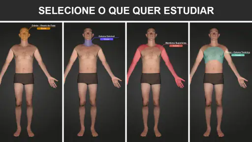 RX - Radiologia Posicionamento screenshot 1