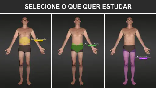 RX - Radiologia Posicionamento screenshot 2
