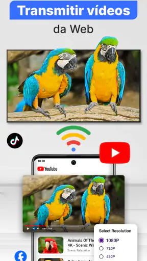 Smart TV Cast para Chromecast screenshot