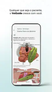 VetGuide Medicina Veterinária screenshot 6
