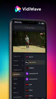 VidiWave screenshot 3