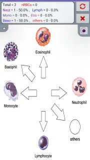 WBC Counter screenshot 3