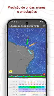 Windy.com - Previsão do tempo screenshot 5