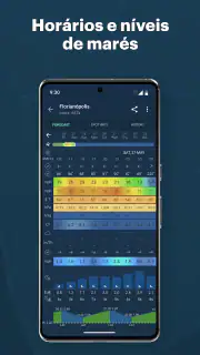 Windy: previsão de surf e vela screenshot 8