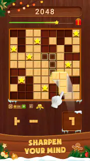 Wood Block: Block Puzzle screenshot 3